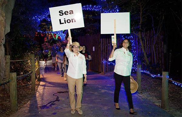 nsm-scenes-4